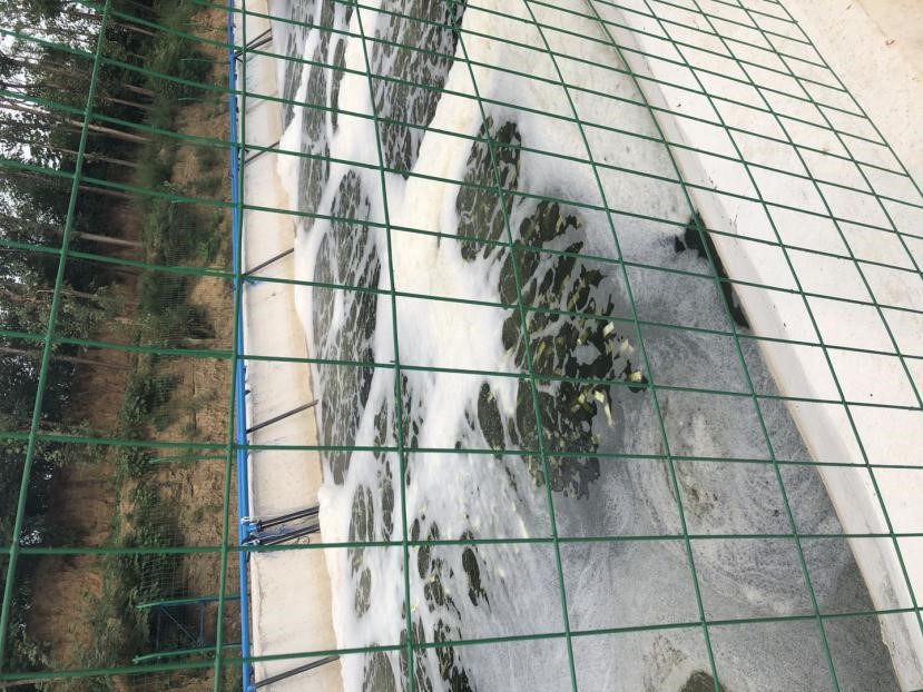 河道及黑臭水体治理