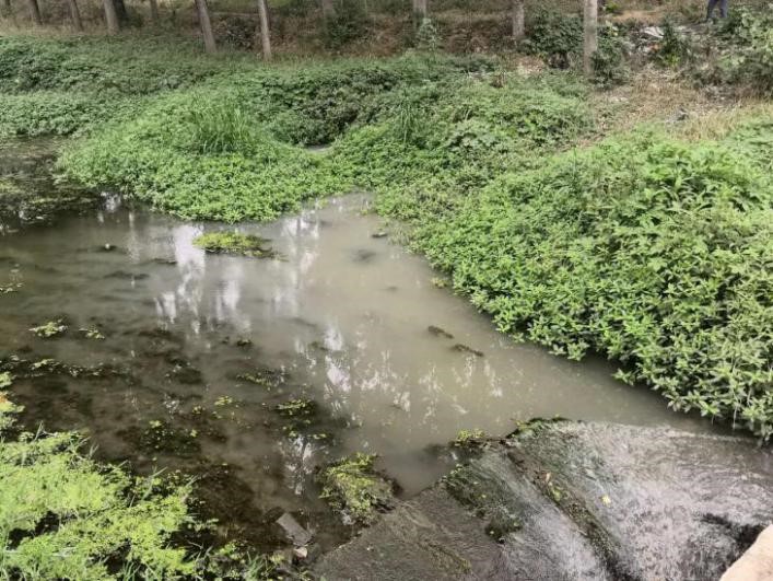 河道及黑臭水体治理