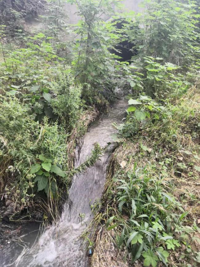 河道及黑臭水体治理