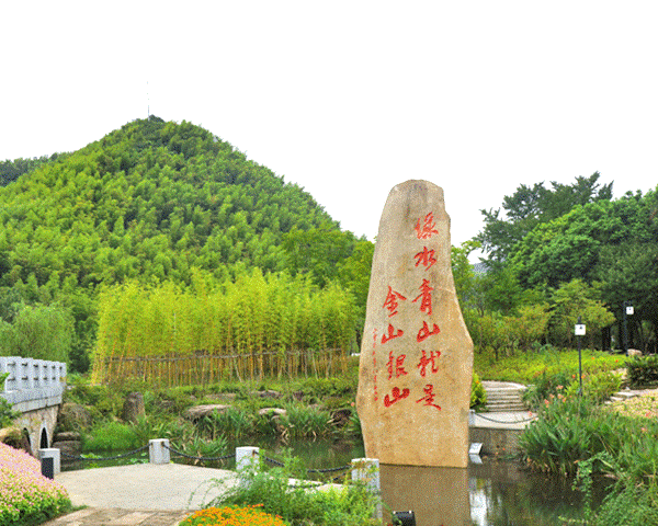林泉环保喜报